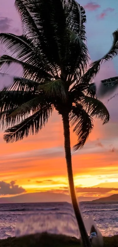 Silhouetted palm tree at sunset on a beach.