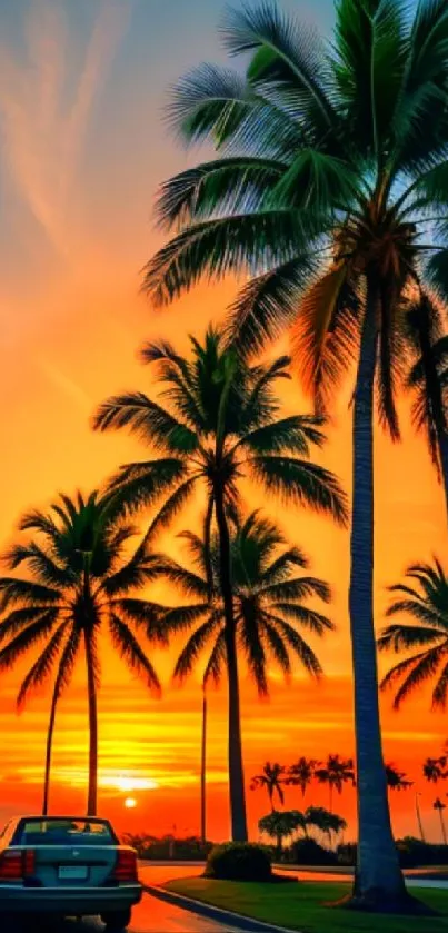 Sunset with palm trees and cars on a tropical road.