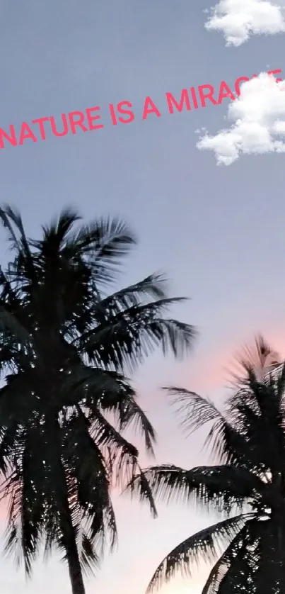 Palm tree silhouettes with sunset sky backdrop and 'Nature is a Miracle' text.