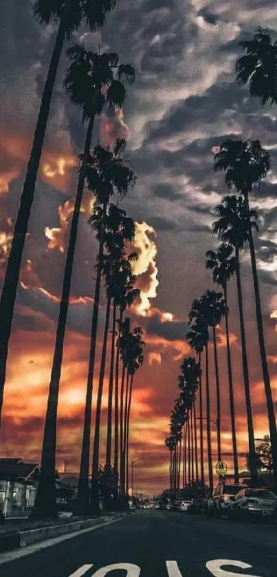 Silhouette of palm trees against a vibrant sunset sky with dramatic clouds.