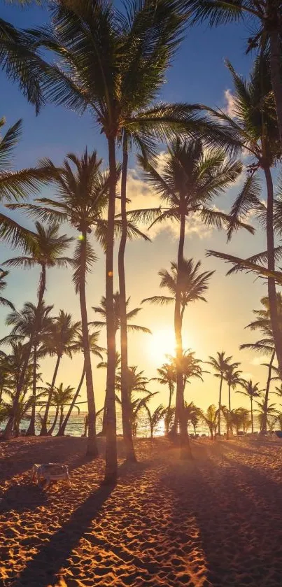 Sunset with palm trees silhouetted against a golden sky on a tropical beach.