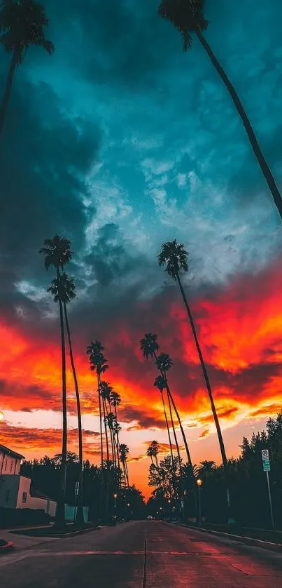 Vibrant sunset with palm trees silhouetted against a colorful sky.