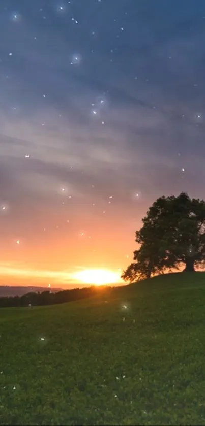 Serene landscape with sunset and lone tree under starry sky.