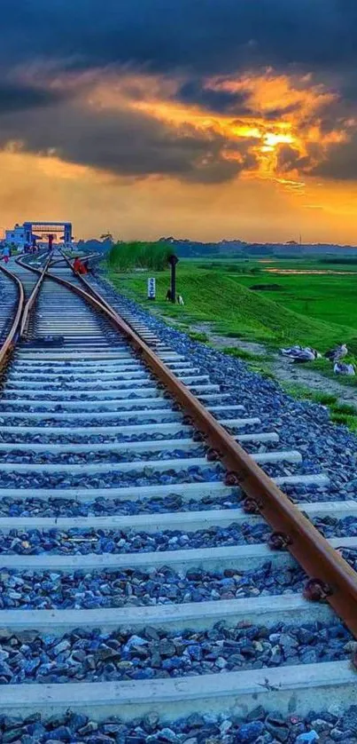 Serene sunset over railway tracks in lush green fields.