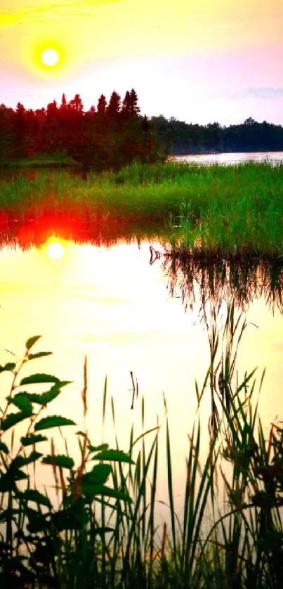 Serene sunset over a reflective lake, surrounded by lush greenery.