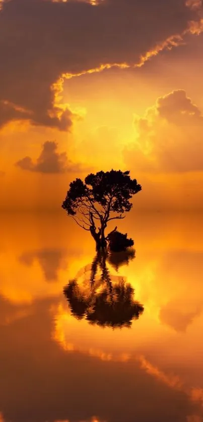 Tree silhouette against vibrant orange sunset with water reflection.