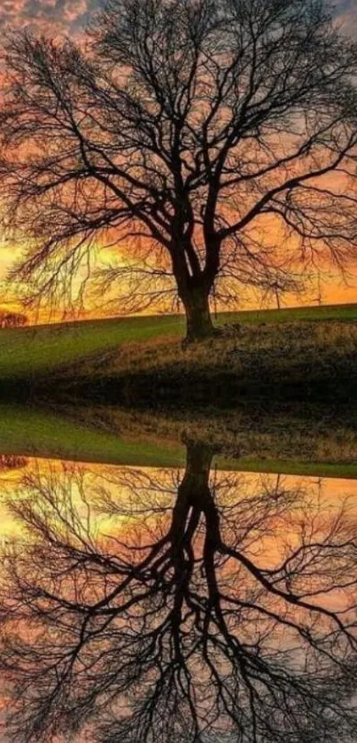 Silhouetted tree mirrored in a sunset lake scene.