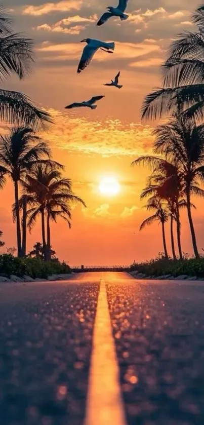 Road with palm trees and an orange sunset