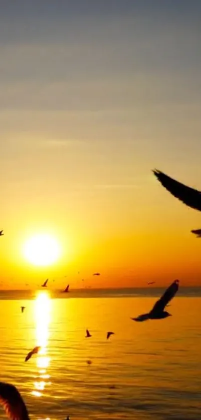 Golden sunset over ocean with birds in flight.