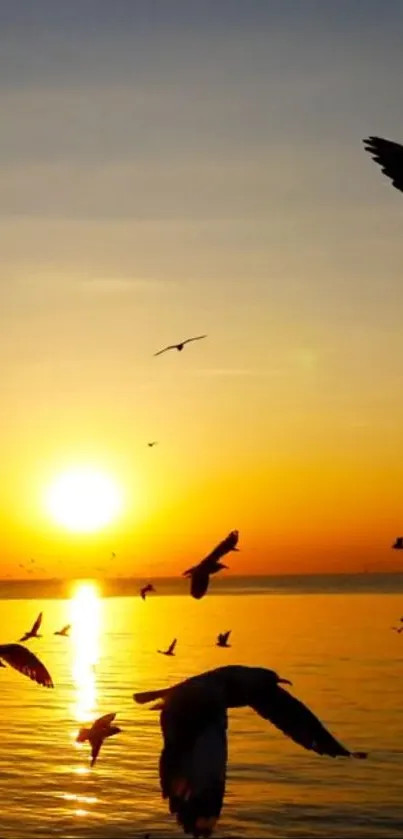 Birds silhouetted against a vibrant sunset over the sea.