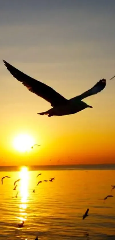 A seagull flying over a calm sea at sunset, with an orange sky.