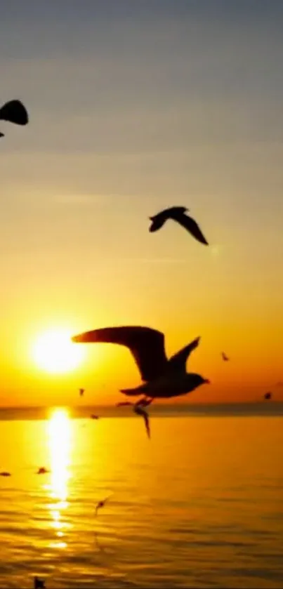 Stunning sunset with seagulls flying over the ocean, creating a serene and picturesque scene.