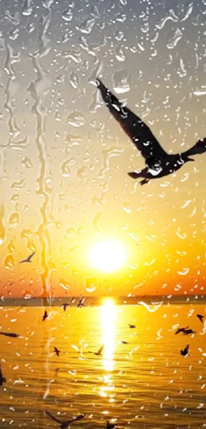 Silhouetted seagulls fly by the ocean during a vibrant sunset with raindrops on screen.