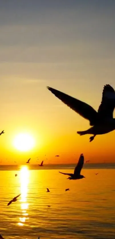 Seagulls soaring in sunset above ocean waves.