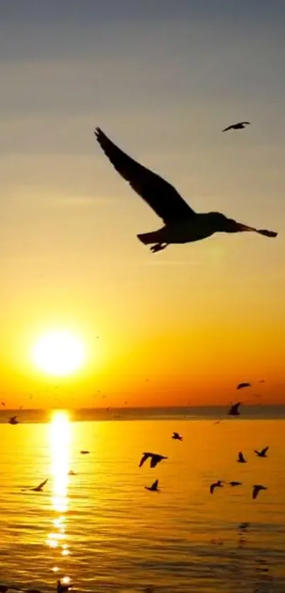 Silhouette of seagulls flying at sunset over a tranquil ocean.