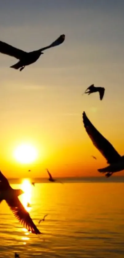 Seagulls flying over ocean at sunset.