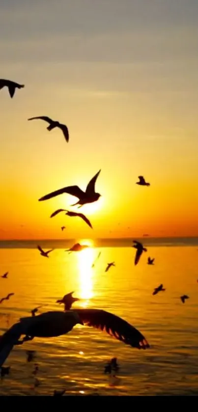 Seagulls flying over ocean at sunset.