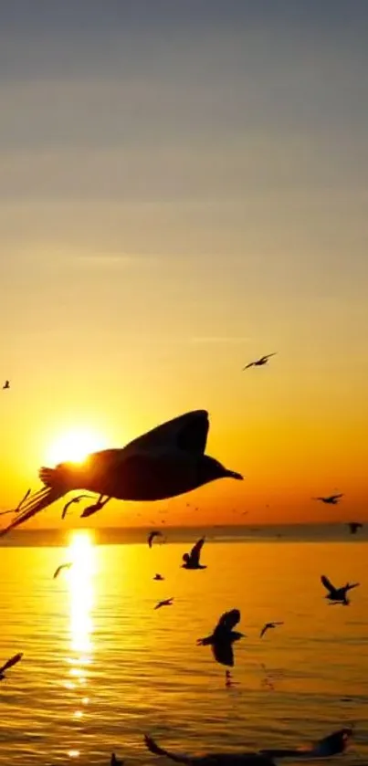 Seagulls flying across a sunset ocean.