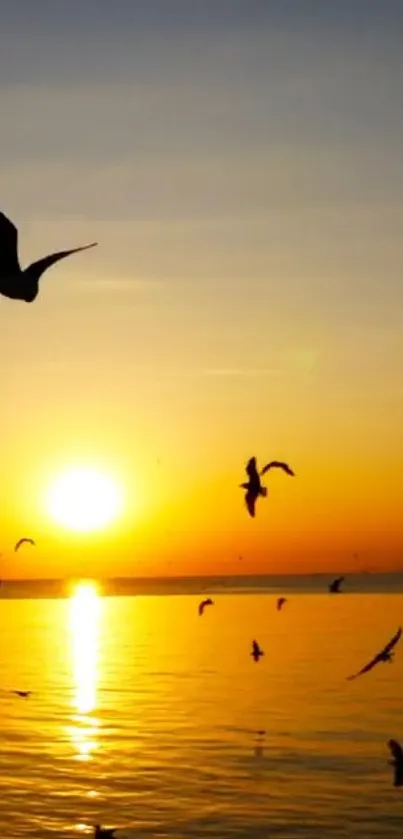 Seagulls soar over an ocean sunset.