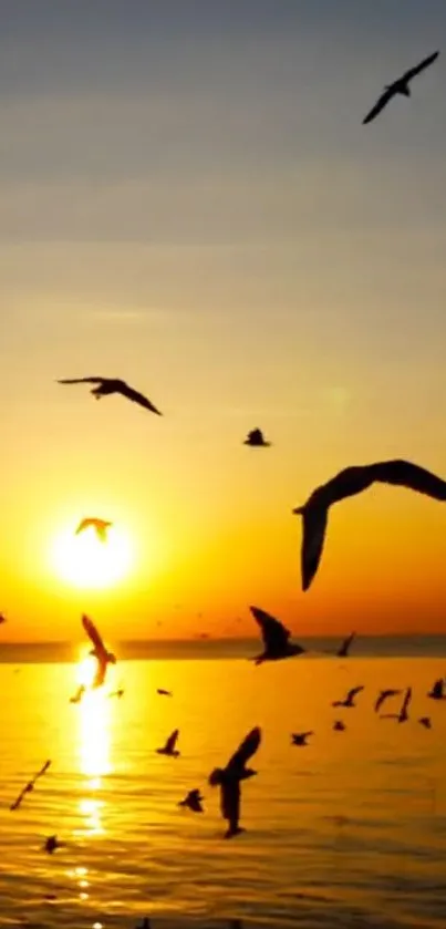 Seagulls flying over ocean during golden sunset.