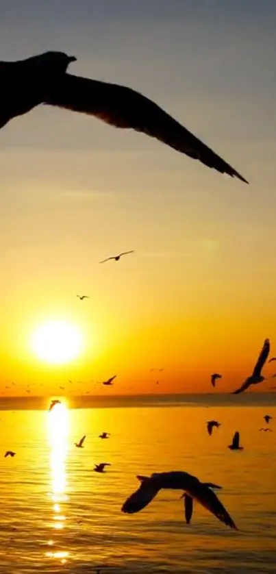 Mobile wallpaper of birds flying over a golden sunset seascape.