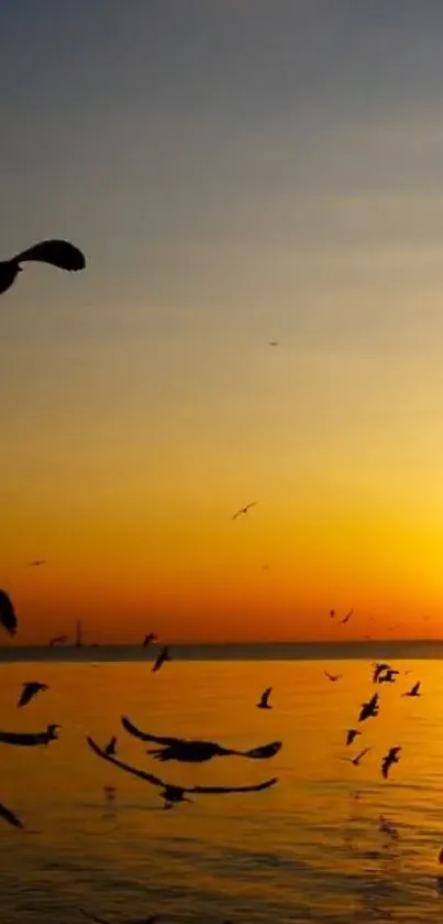 Silhouetted birds flying during sunset over the ocean.