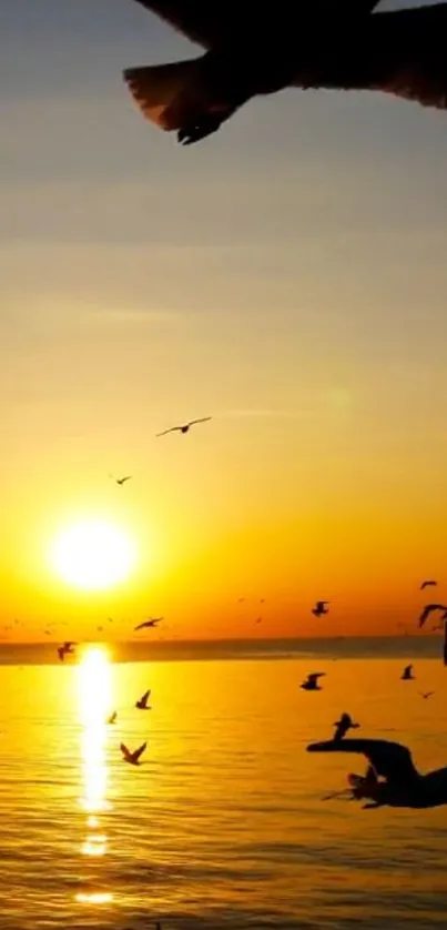 Sunset over ocean with birds silhouetted against an orange sky.