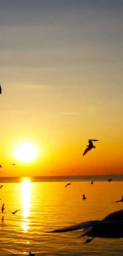 Peaceful ocean sunset with birds in flight against a golden sky.