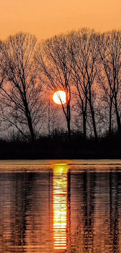 Sunset over lake with tree silhouettes and orange sky.