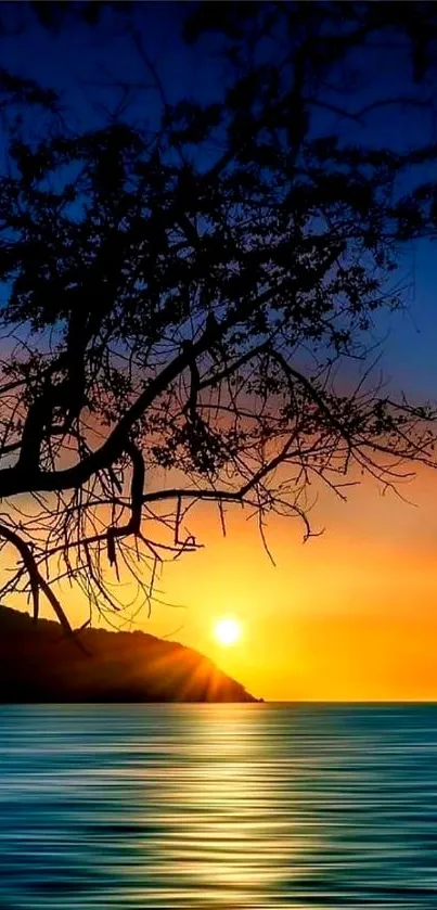 Silhouetted tree with vibrant ocean sunset view.