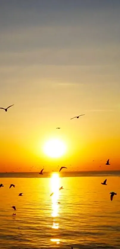 Sunset over ocean with birds flying above.