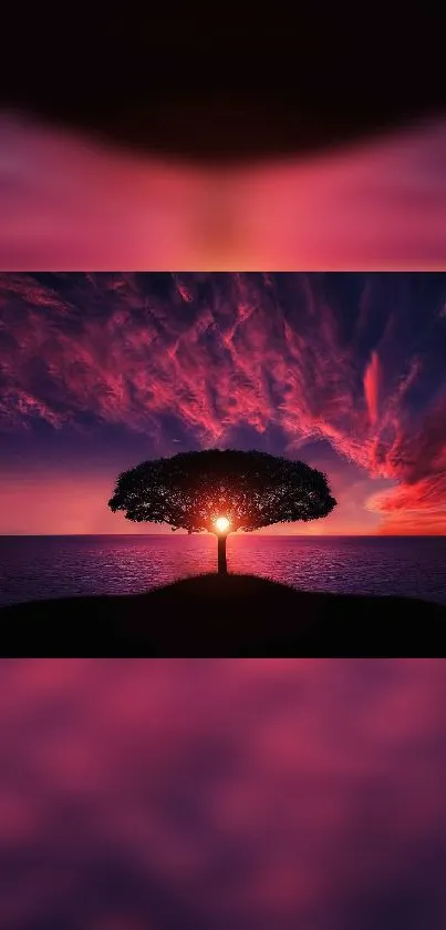 Sunset tree silhouette on vibrant magenta sky.