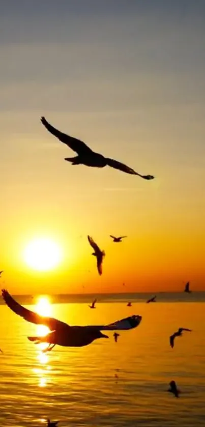 Seagulls soaring over ocean at sunset.