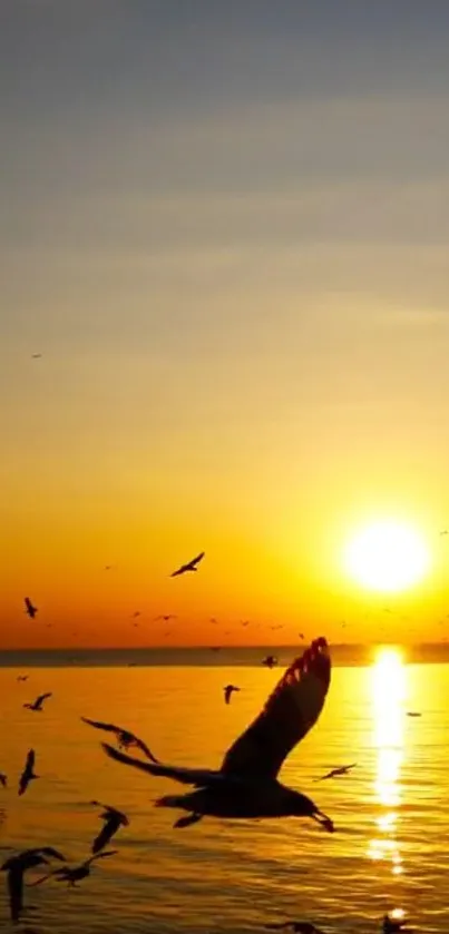 Golden sunset over ocean with flying seagulls, creating a serene and peaceful scene.