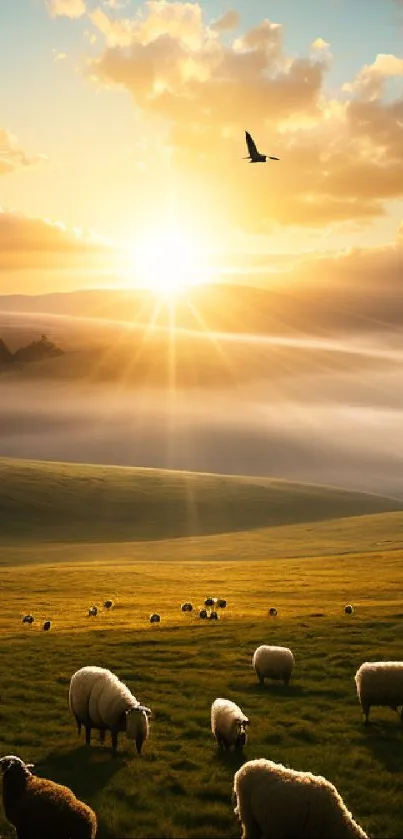 Serene landscape with sheep in golden meadows at sunset.