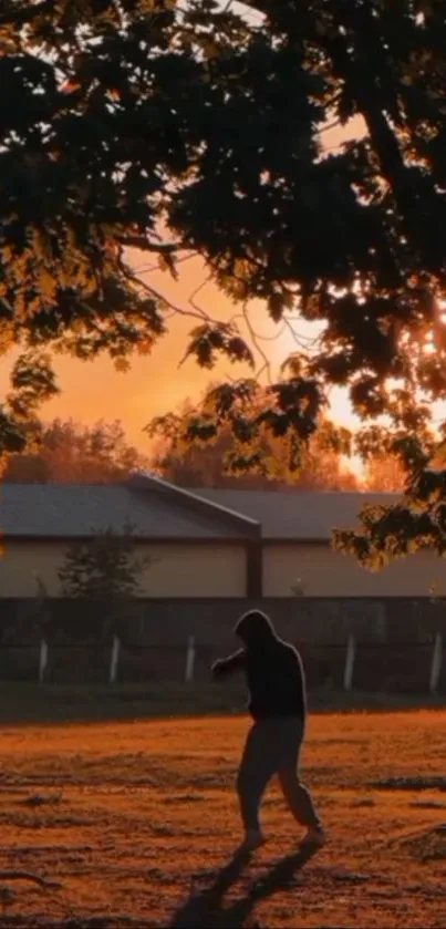 Silhouette of a person walking at sunset under trees.