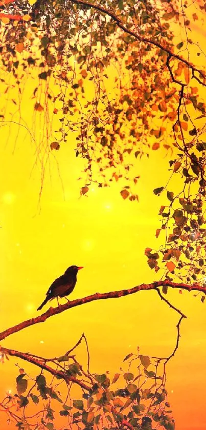 Silhouette of a bird against a vibrant sunset sky with tree branches.