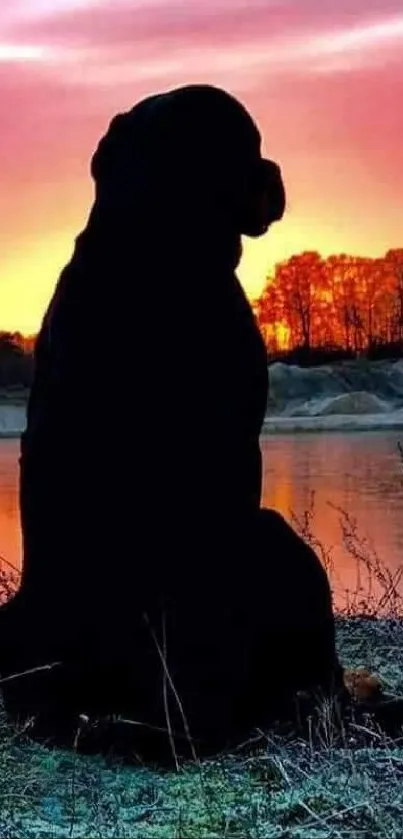 Dog silhouette at sunset by a tranquil lake with vibrant sky.