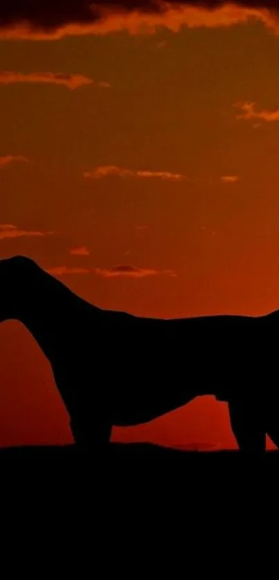 Silhouette of dog at sunset against vibrant orange sky.