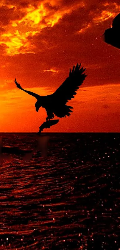 Eagle silhouette flying over ocean at sunset.