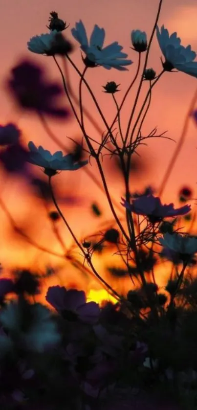 Silhouette of wildflowers at sunset with vibrant orange sky.