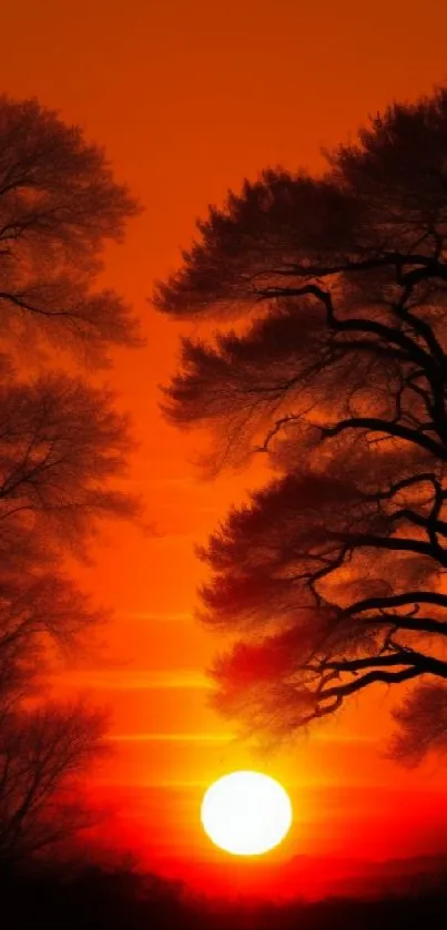 Serene sunset silhouette with orange and trees.