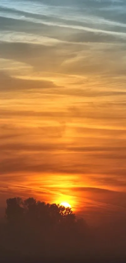 Orange and blue sunset with silhouetted trees.