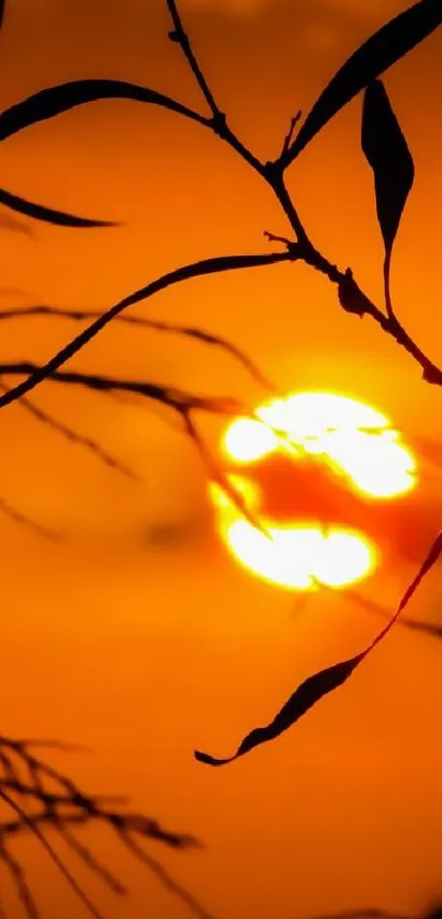 Mobile wallpaper of sunset silhouette with orange glow and branches.