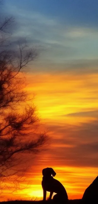 Two dogs silhouetted against a vibrant sunset sky.