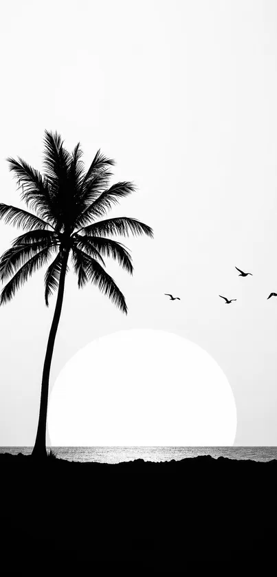 Black and white silhouette of a palm tree at sunset with flying birds.