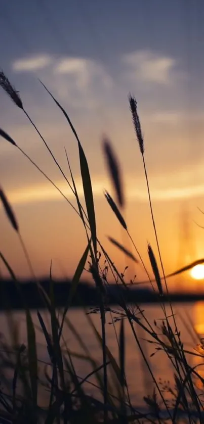 Silhouette of grass against a vibrant sunset over a lake.