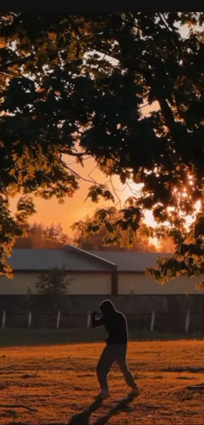 Silhouetted figure under tree against a sunset backdrop.