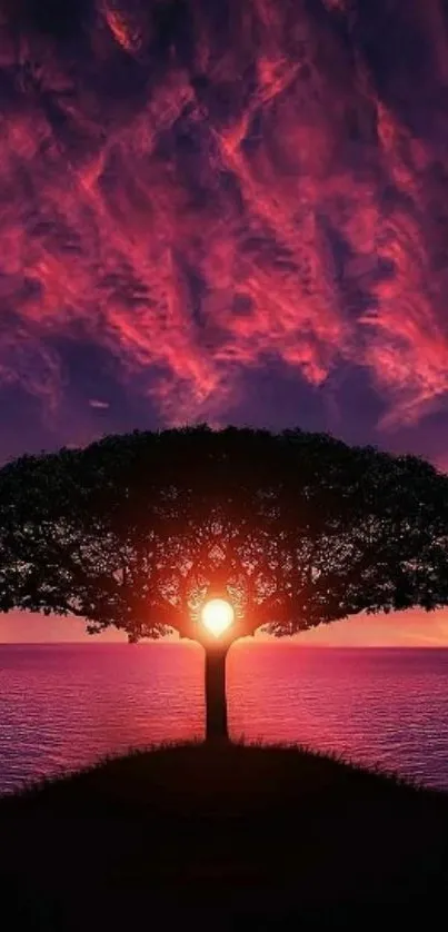 Silhouette of a tree with a vibrant pink sunset behind.