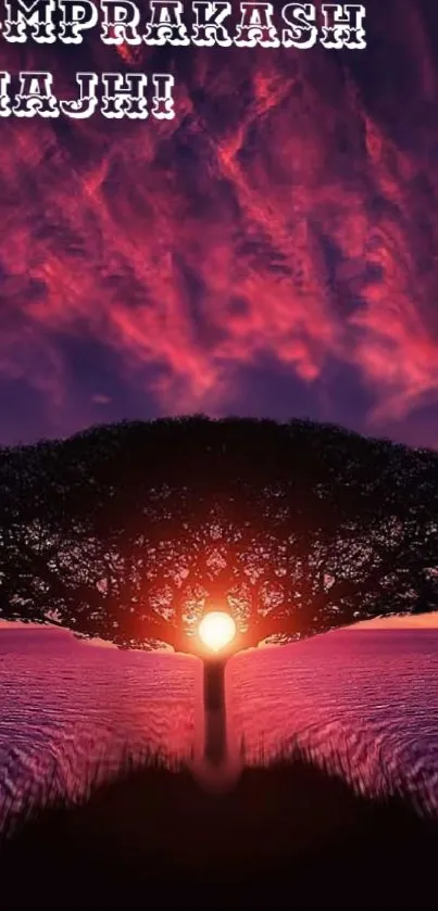 Silhouetted tree against a vivid sunset sky, creating a peaceful artistic scene.